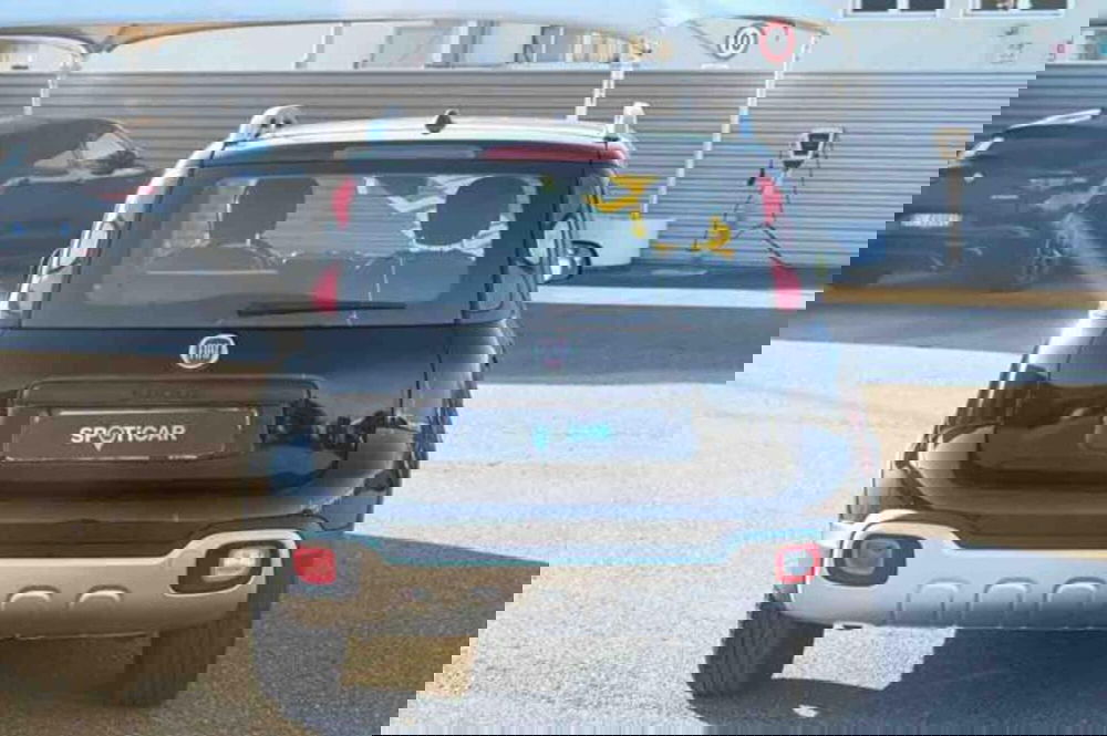 Fiat Panda Cross usata a Torino (6)