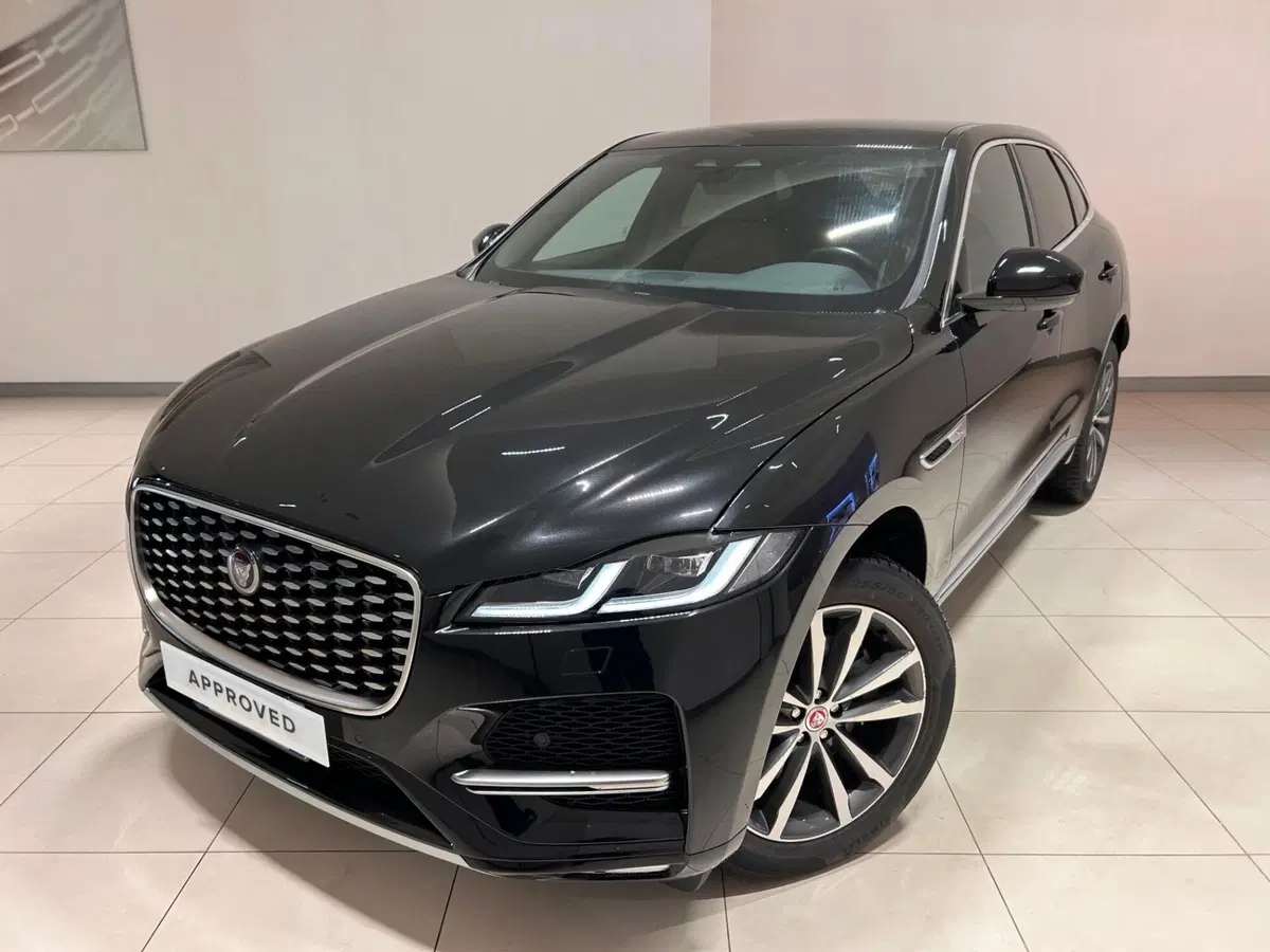 Jaguar F-Pace usata a Napoli