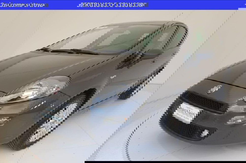 Fiat Punto usata a Lucca
