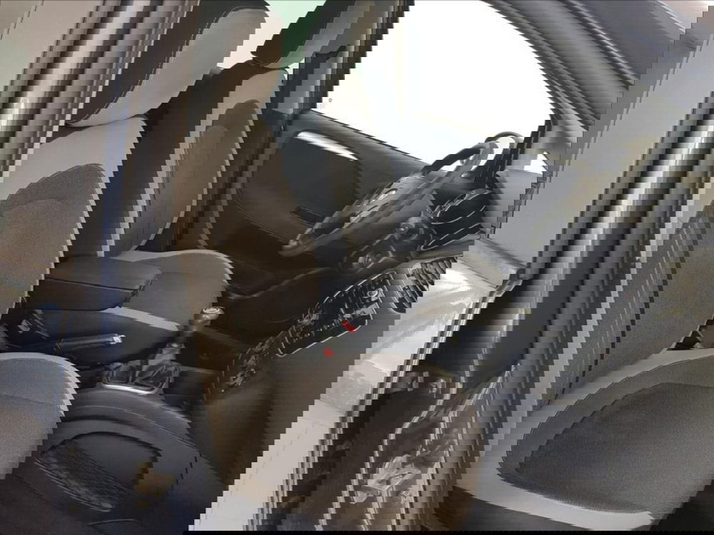 Fiat Punto usata a Lucca (11)