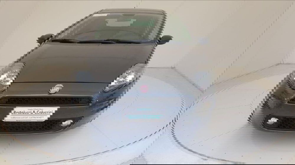 Fiat Punto usata a Lucca (2)