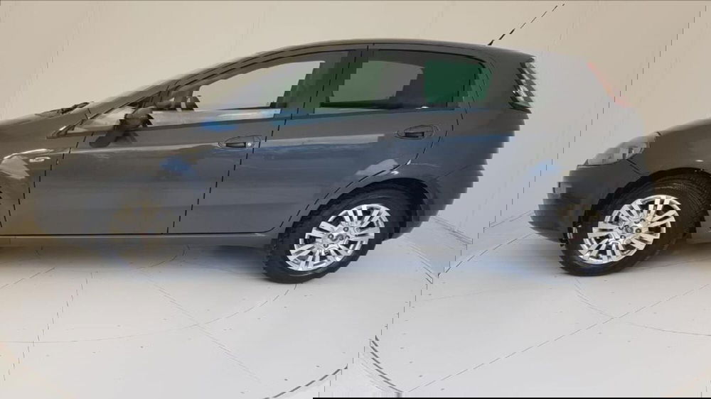 Fiat Punto usata a Lucca (3)