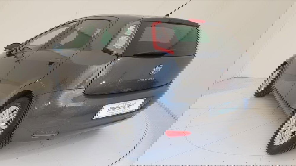 Fiat Punto usata a Lucca (4)