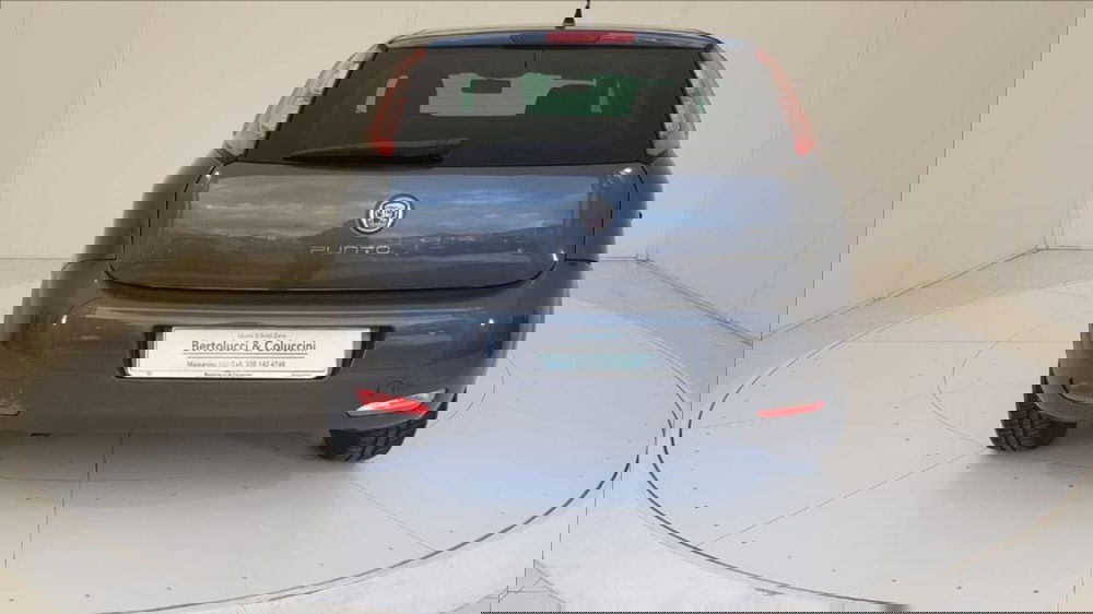 Fiat Punto usata a Lucca (5)