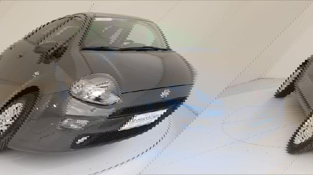 Fiat Punto usata a Lucca (8)