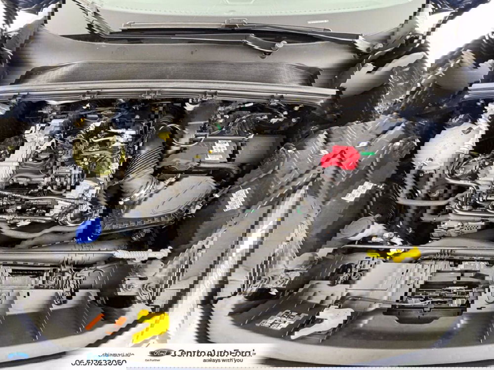 Ford Puma usata a Roma (12)