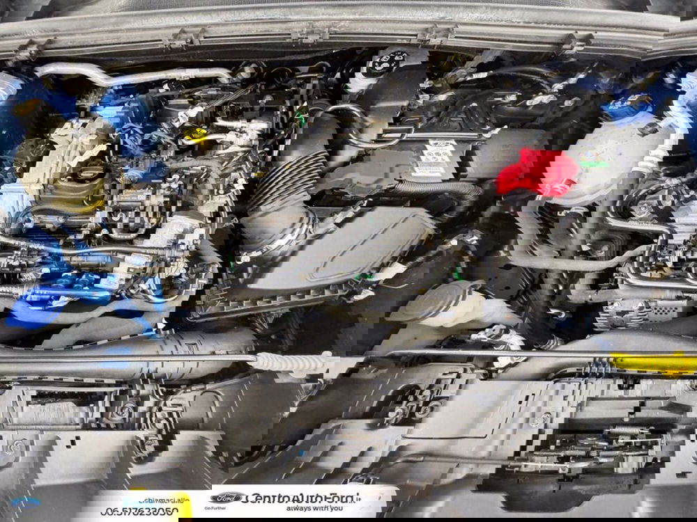 Ford Puma usata a Roma (12)