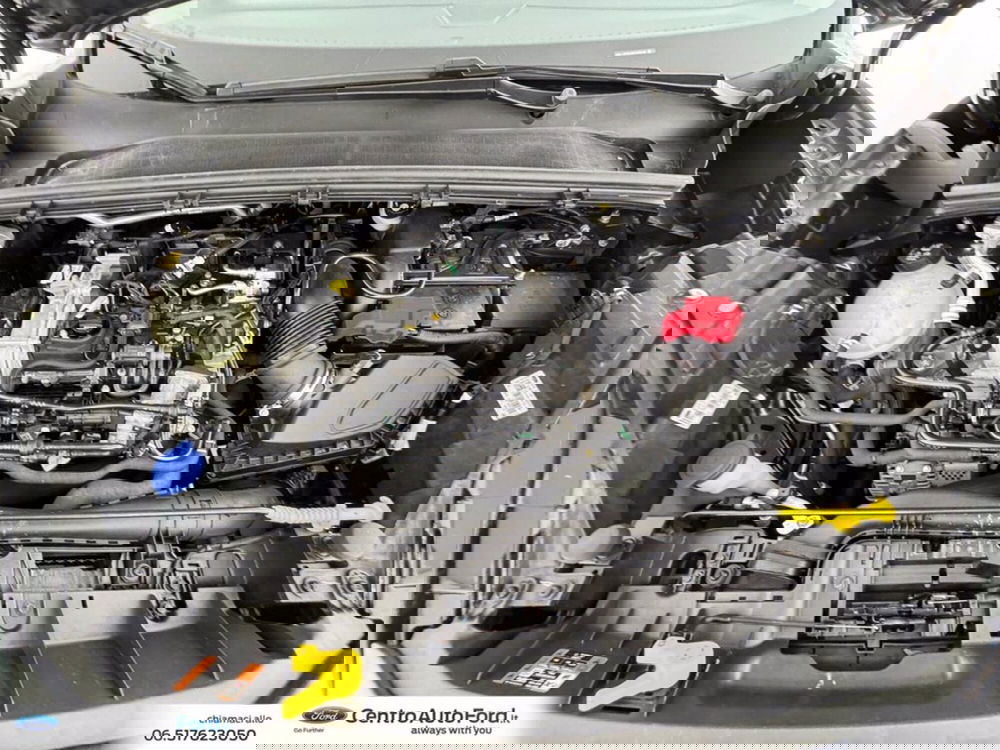 Ford Puma usata a Roma (12)