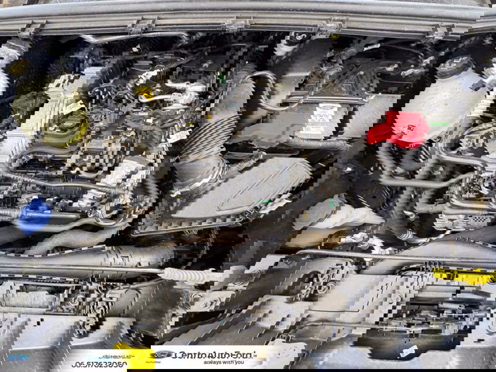 Ford Puma usata a Roma (12)