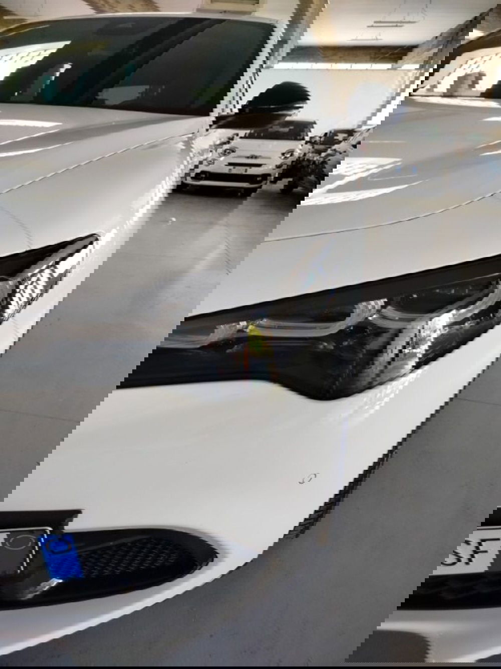 Alfa Romeo Stelvio usata a Forlì-Cesena (16)