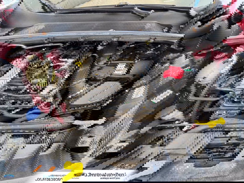 Ford Puma usata a Roma (13)