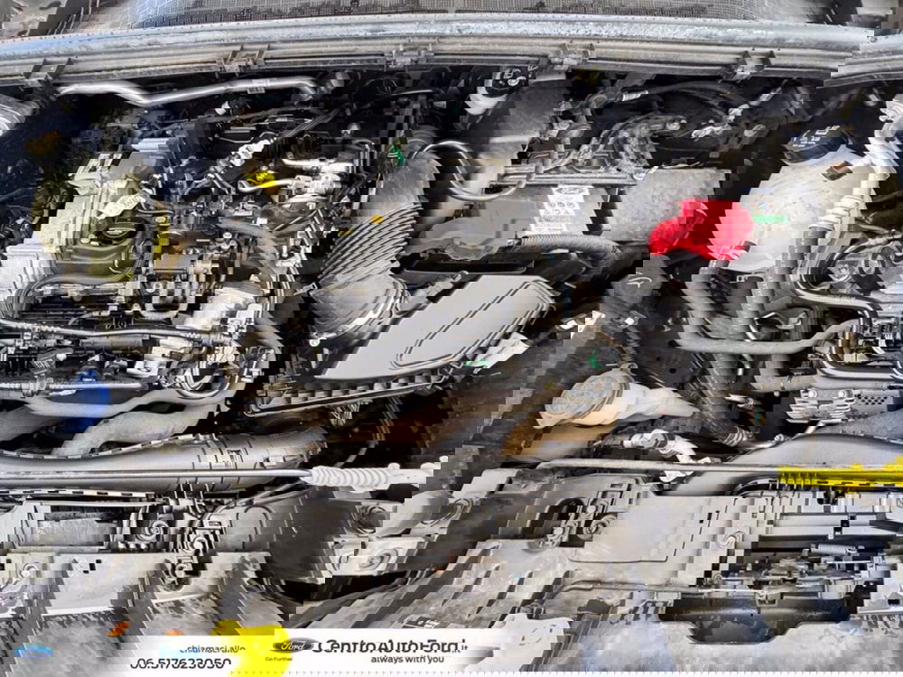 Ford Puma usata a Roma (13)