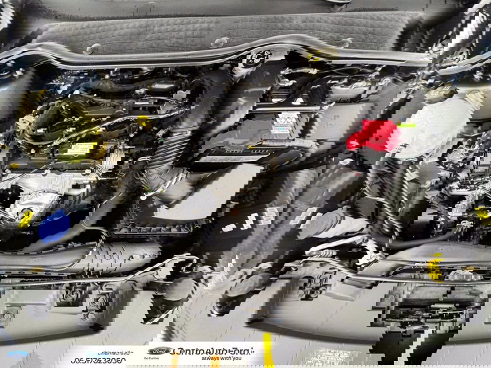 Ford Fiesta usata a Roma (12)