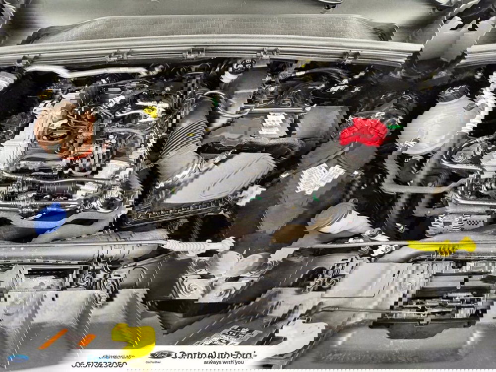 Ford Puma usata a Roma (12)