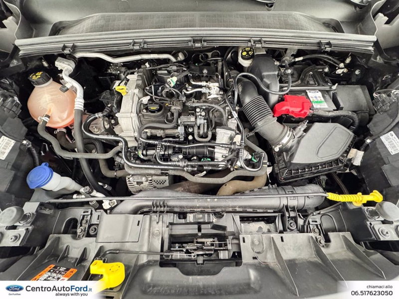 Ford Puma usata a Roma (12)