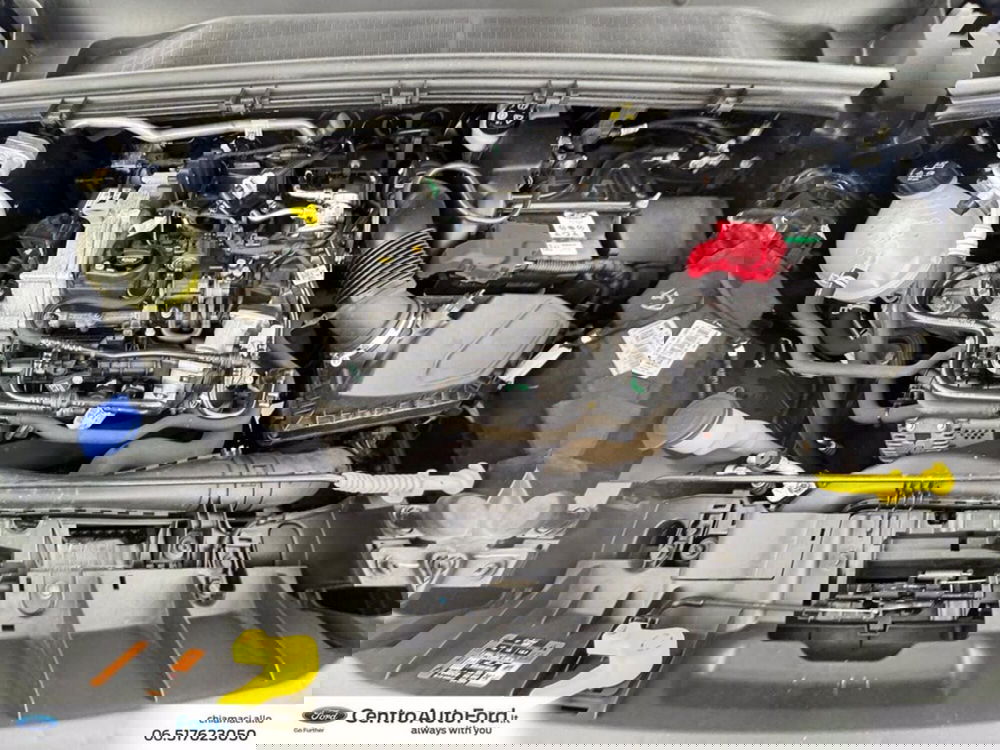 Ford Puma usata a Roma (12)