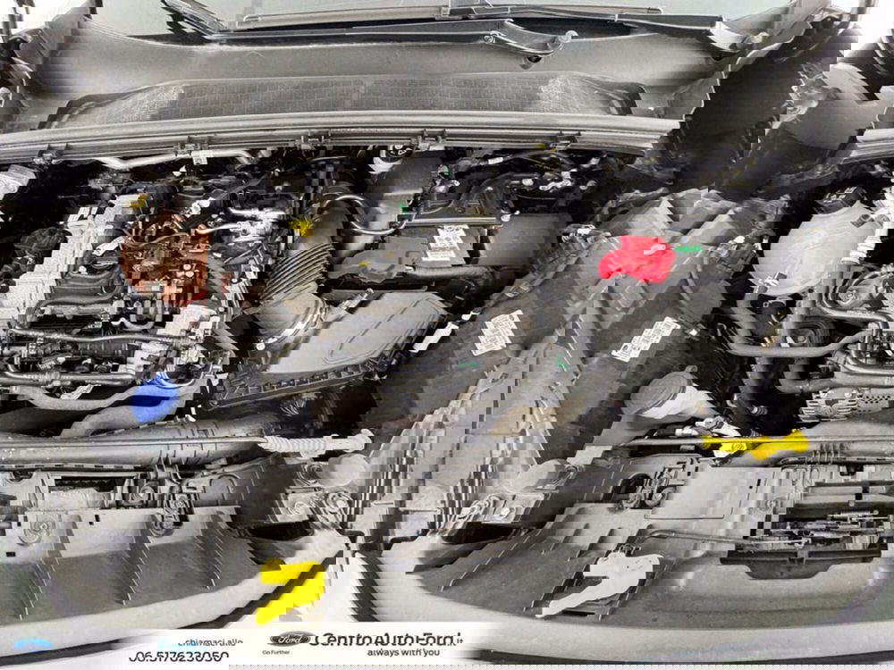 Ford Puma usata a Roma (12)