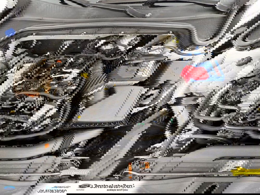 Ford Focus usata a Roma (12)