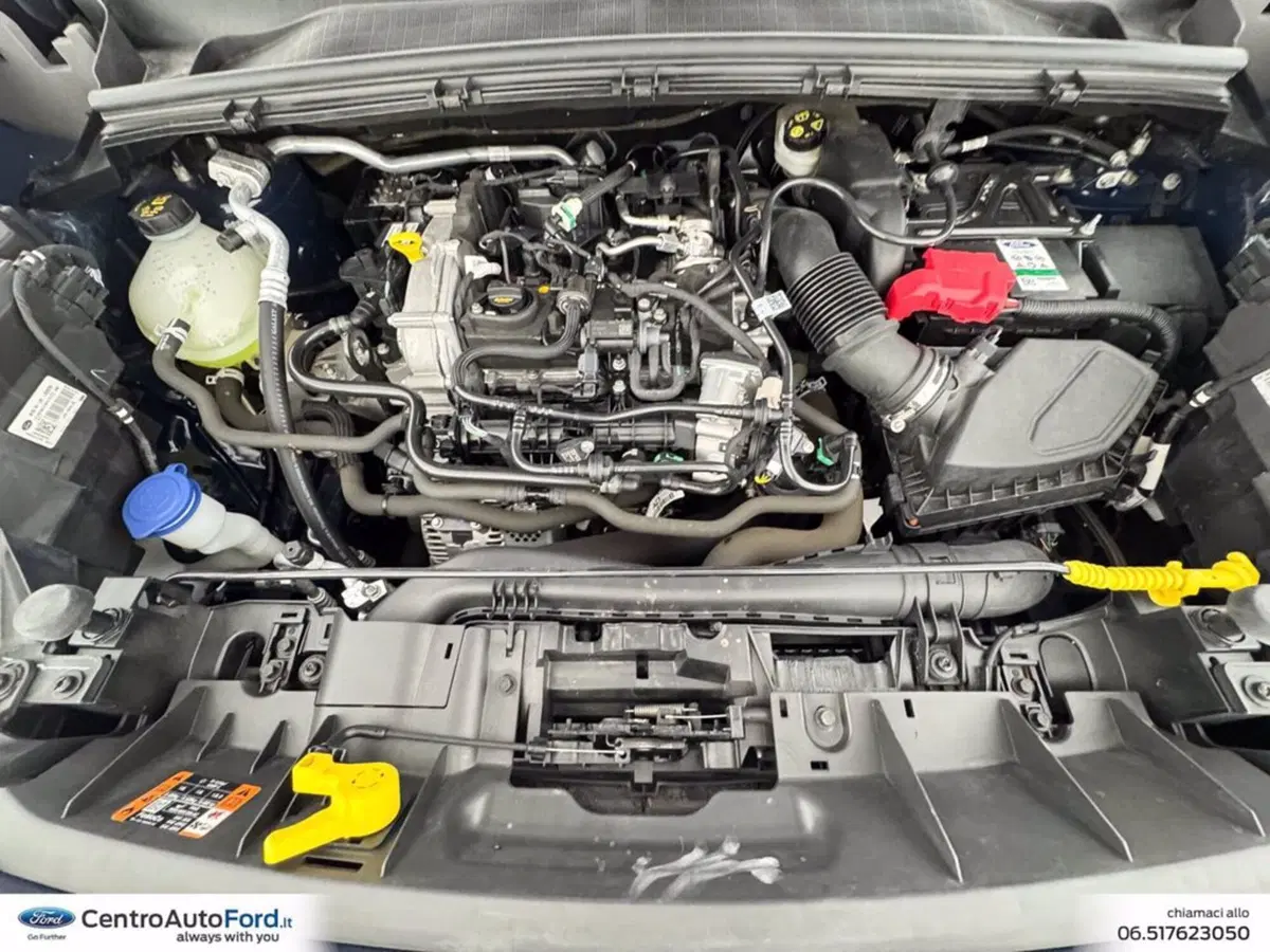 Ford Puma usata a Roma (12)