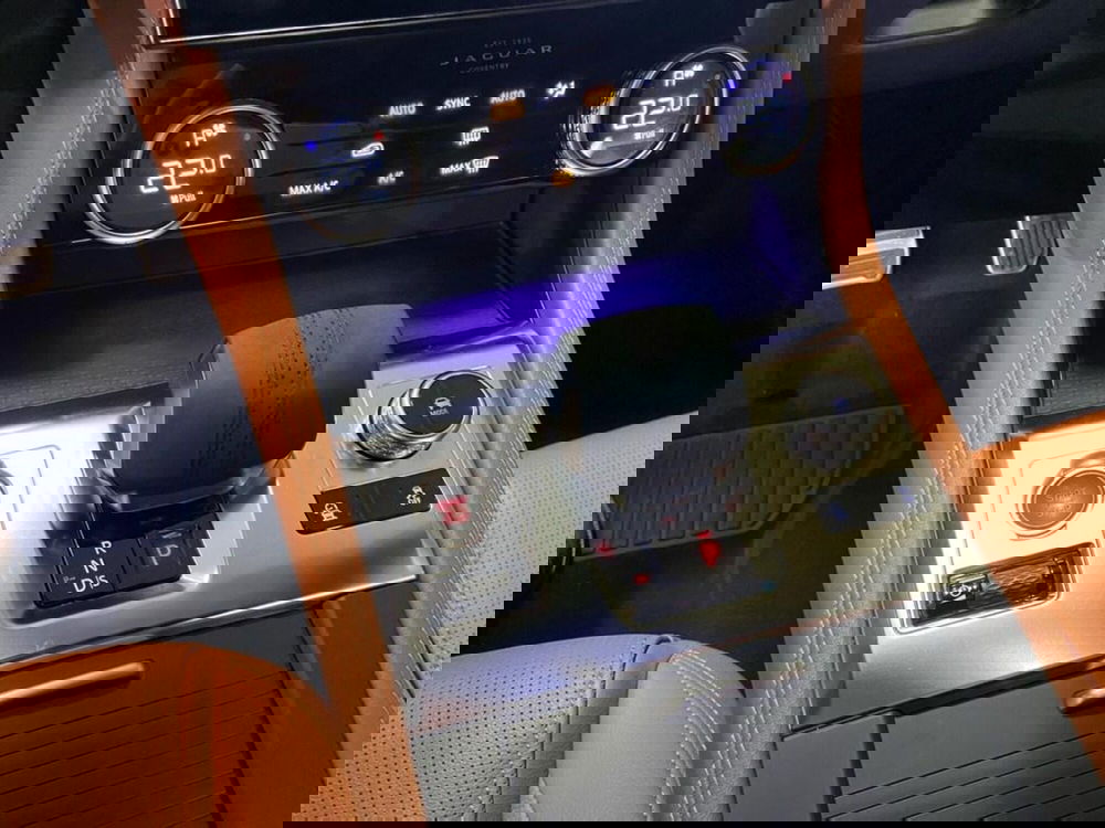 Jaguar F-Pace usata a Torino (11)