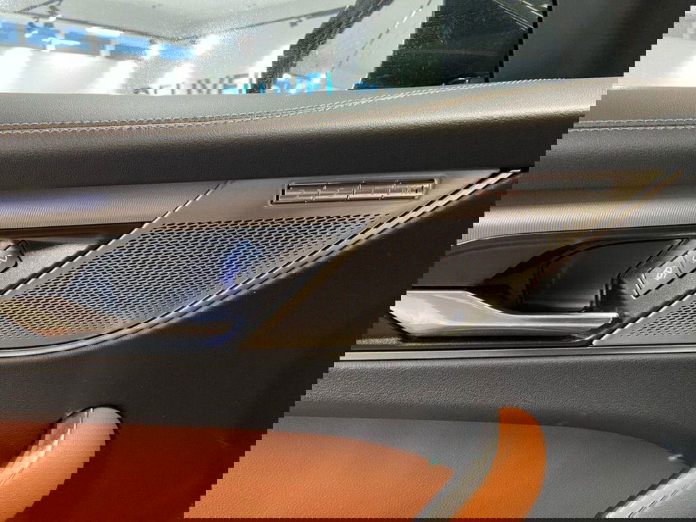 Jaguar F-Pace usata a Torino (12)