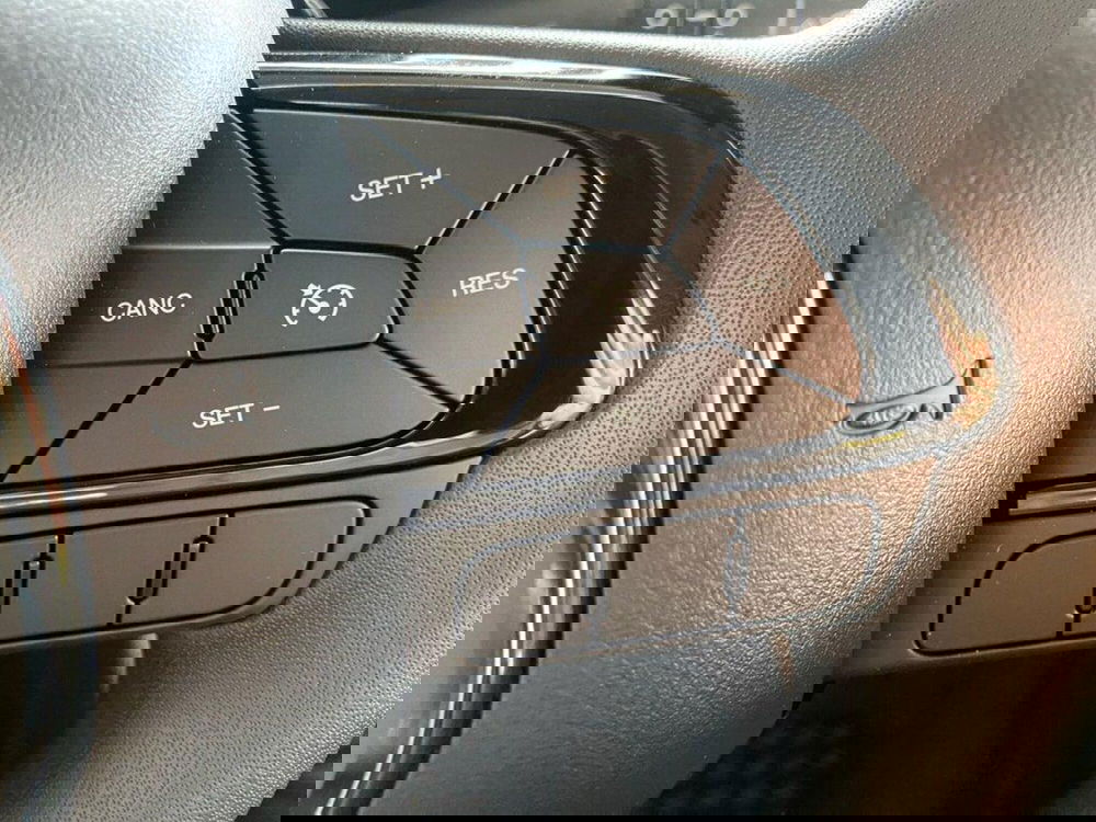 Fiat Pandina nuova a Torino (14)