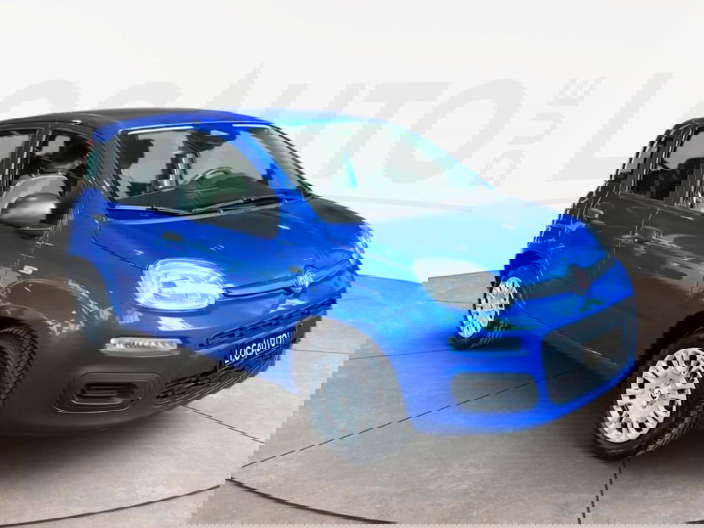 Fiat Pandina nuova a Torino (3)