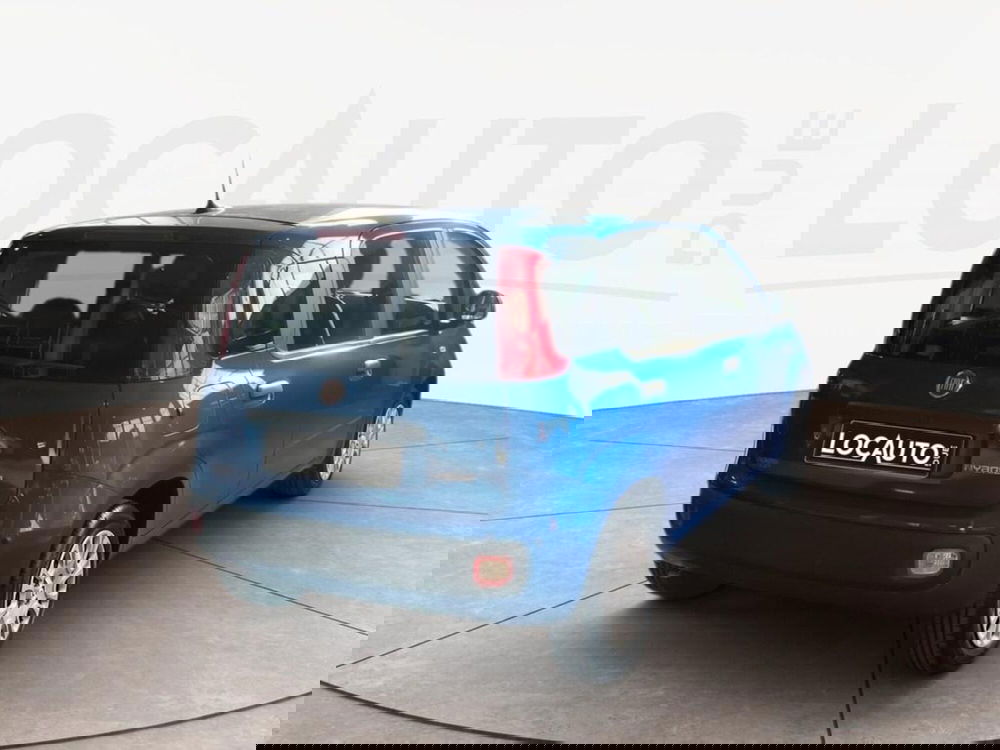 Fiat Pandina nuova a Torino (4)