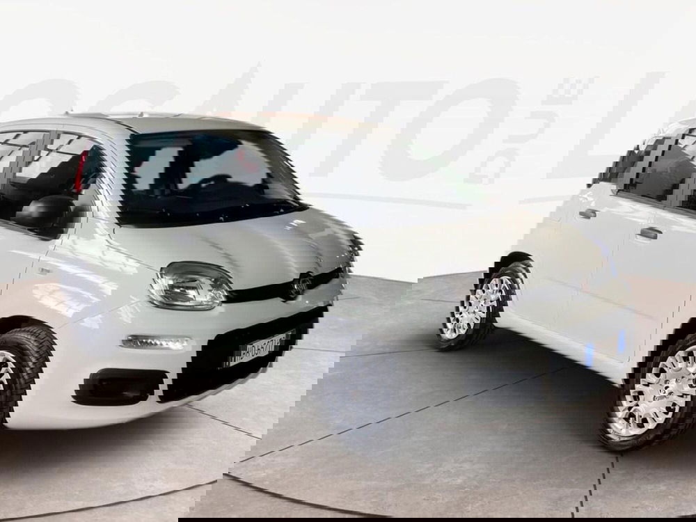 Fiat Pandina nuova a Torino (3)