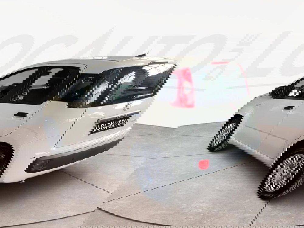 Fiat Pandina nuova a Torino (5)