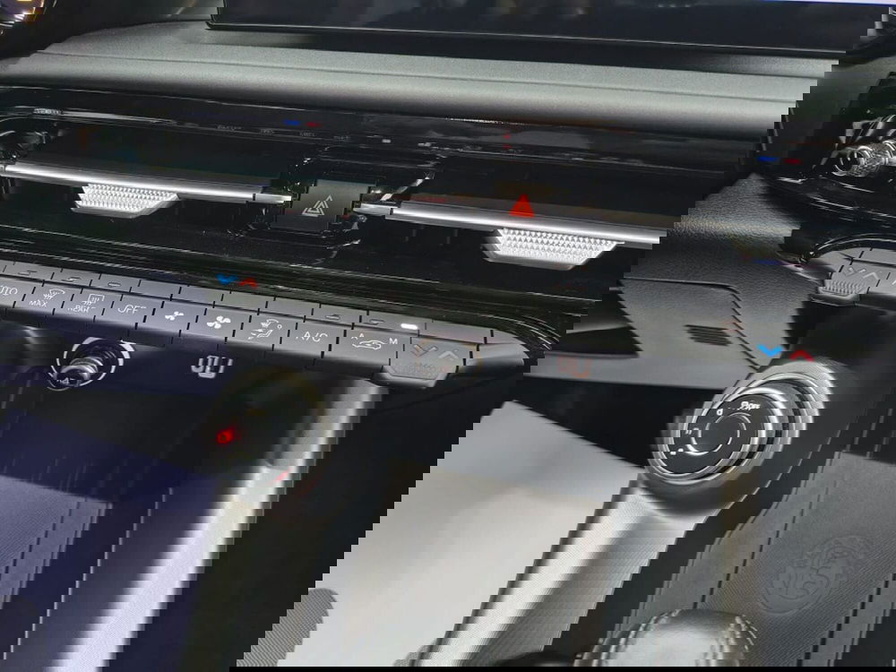 Alfa Romeo Tonale usata a Firenze (19)