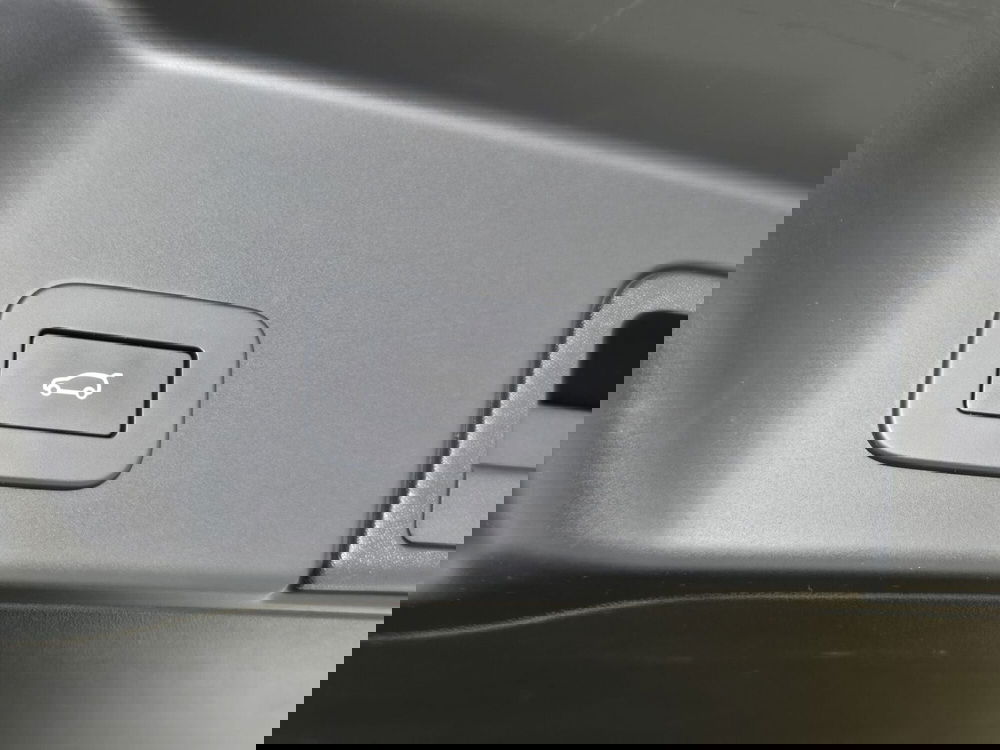 Land Rover Range Rover Evoque usata a Torino (19)