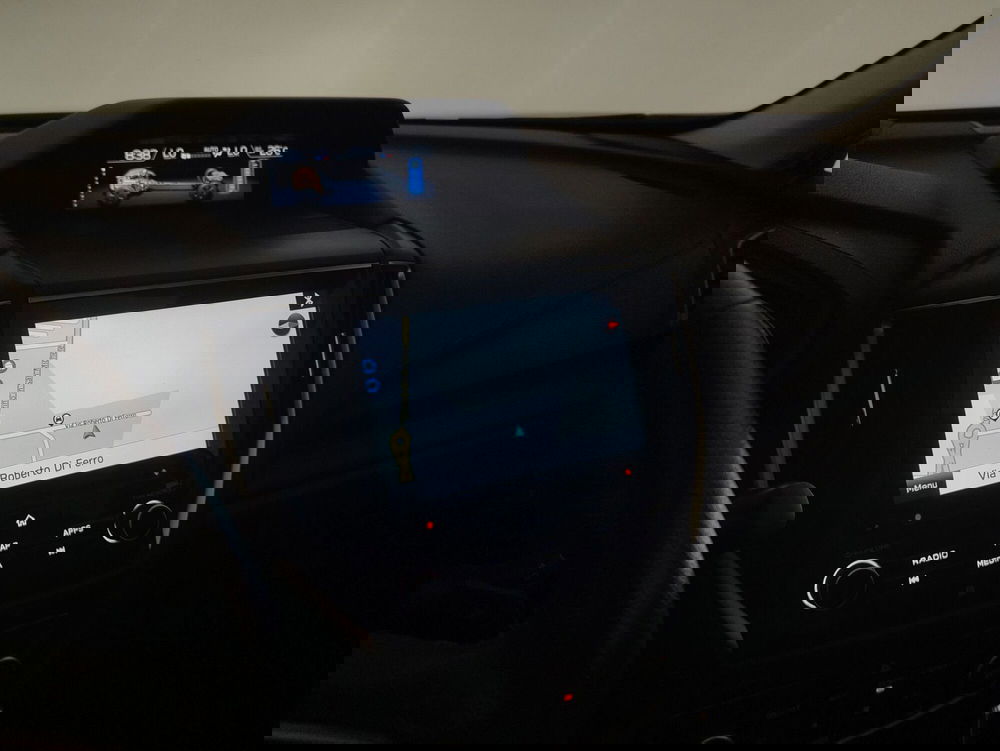 Subaru Forester usata a Alessandria (12)