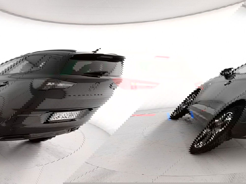 Opel Grandland usata a Caserta (4)