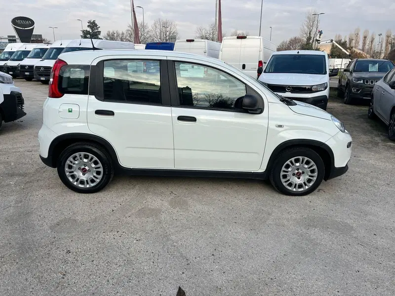 Fiat Panda Cross usata a Milano (6)