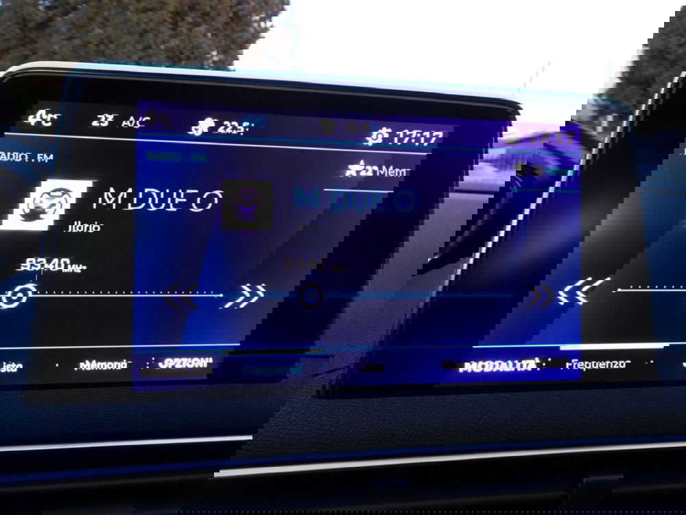 Peugeot 3008 usata a Treviso (17)