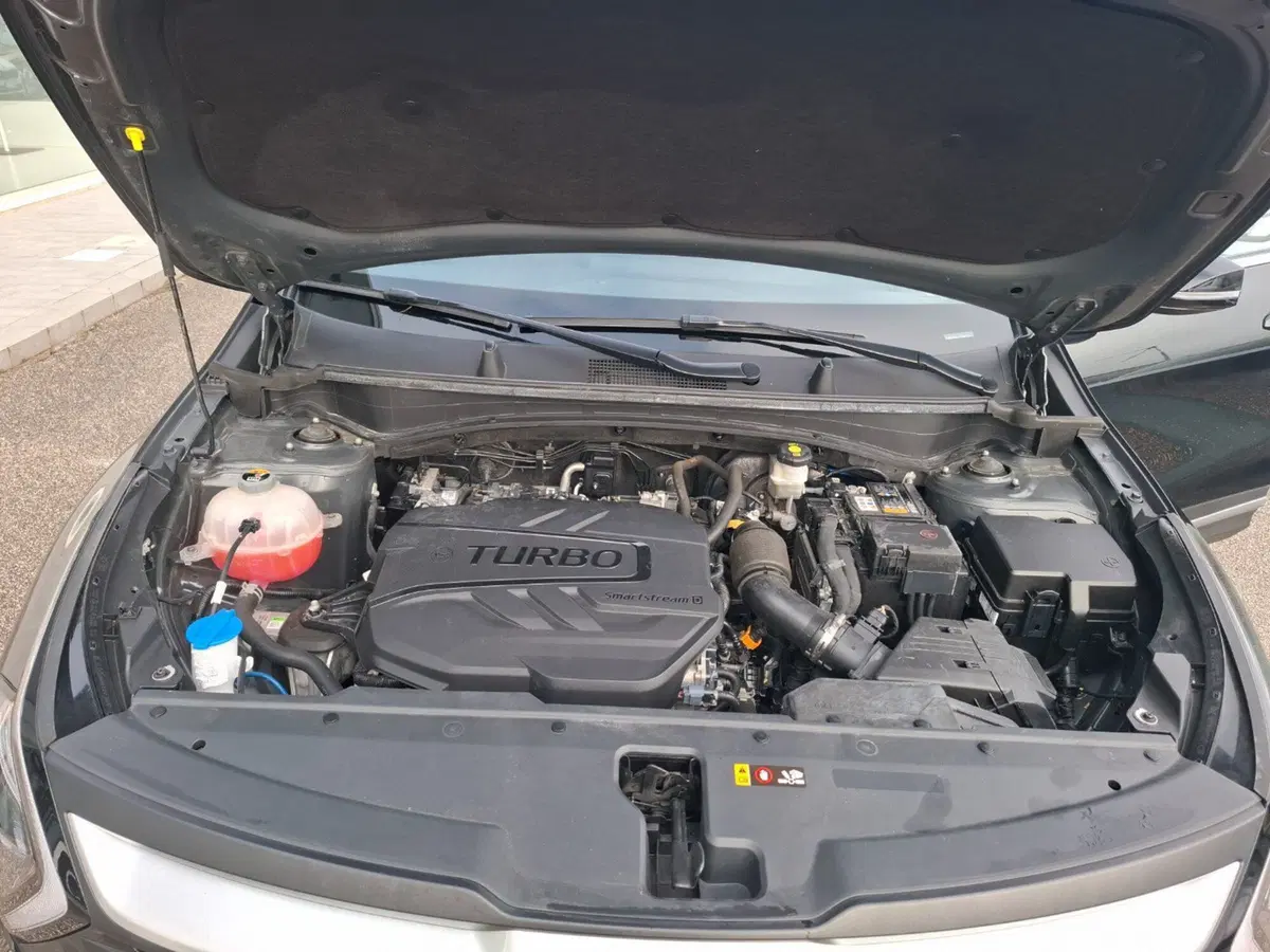 Kia Sportage usata a Ancona (13)