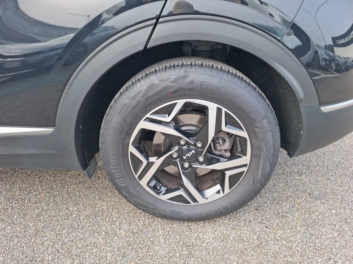Kia Sportage usata a Ancona (15)