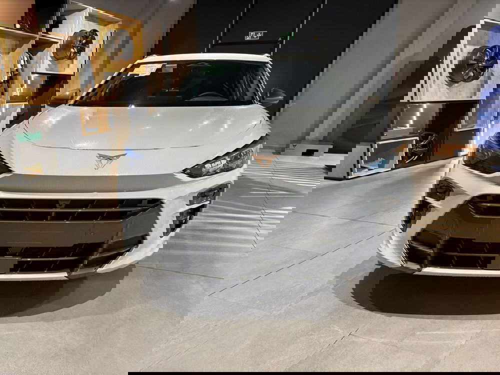 Cupra Terramar nuova a Ferrara (2)