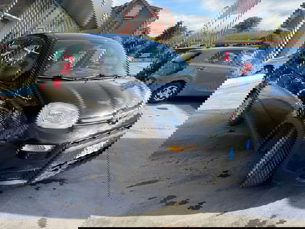 Fiat Panda usata a Avellino (2)