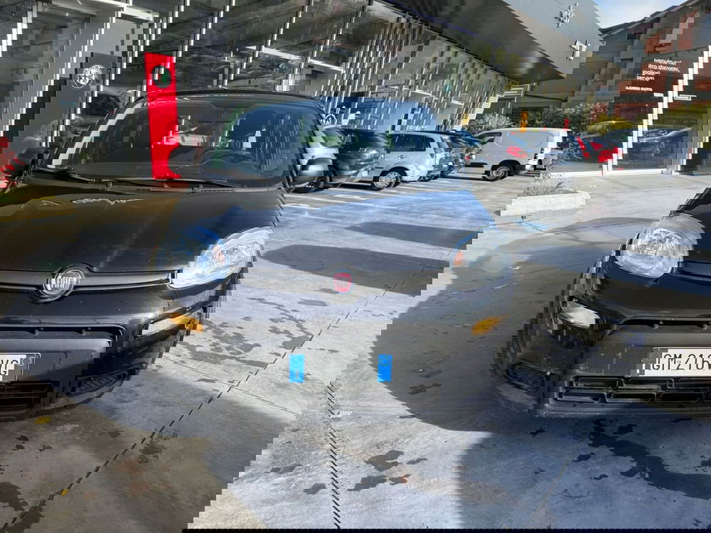 Fiat Panda usata a Avellino (9)