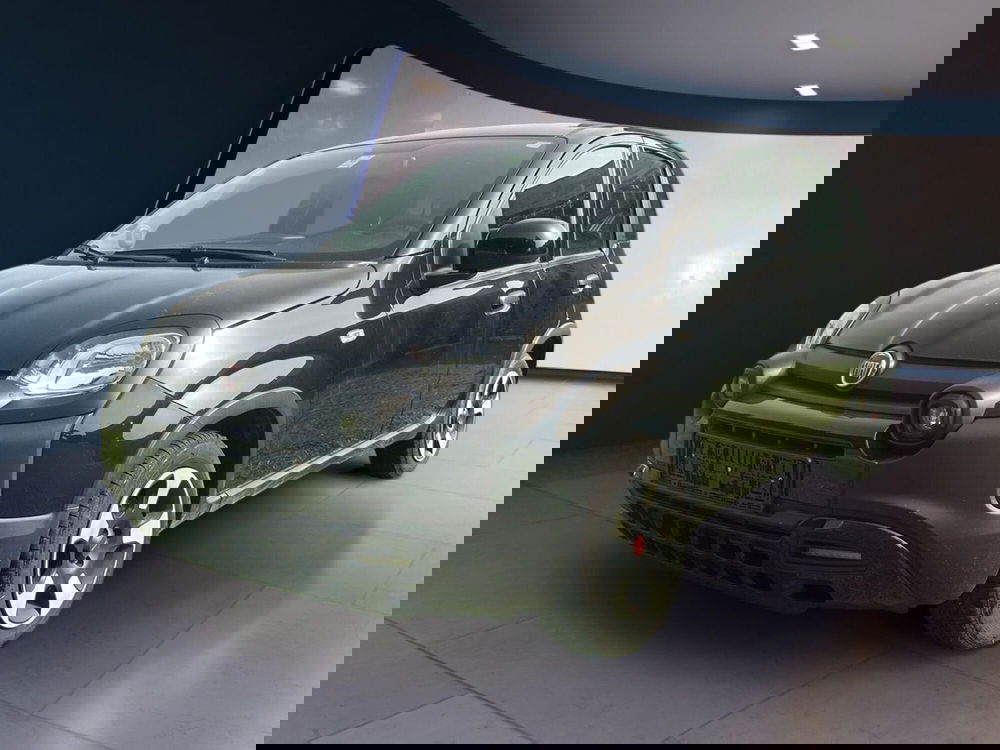 Fiat Panda Cross usata a Salerno