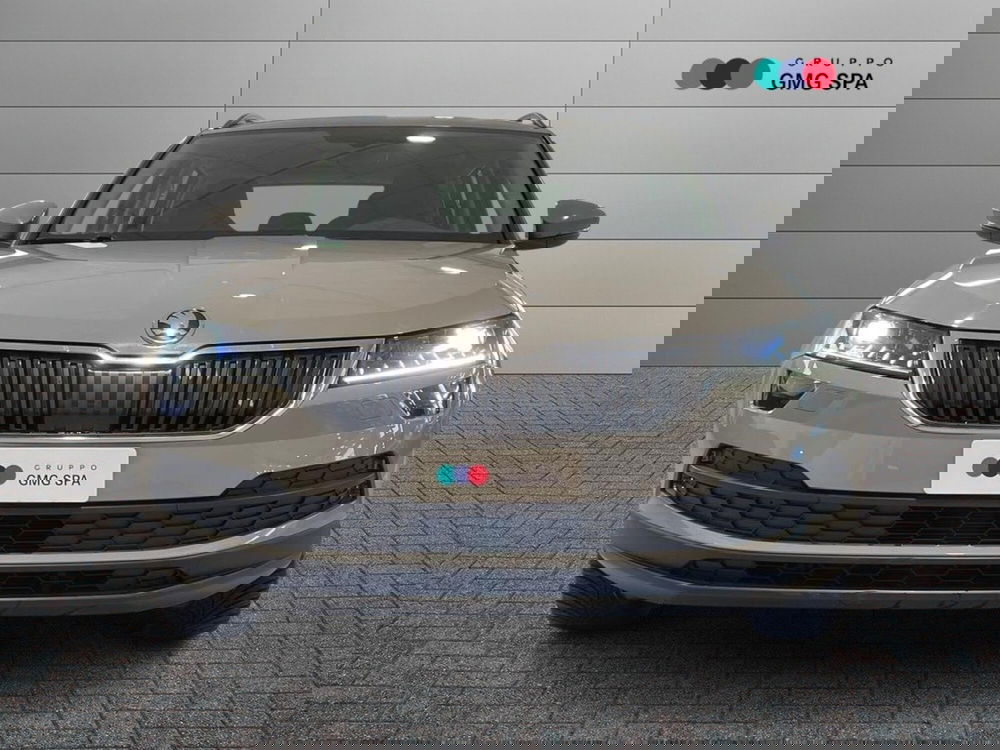 Skoda Karoq usata a Pistoia (2)