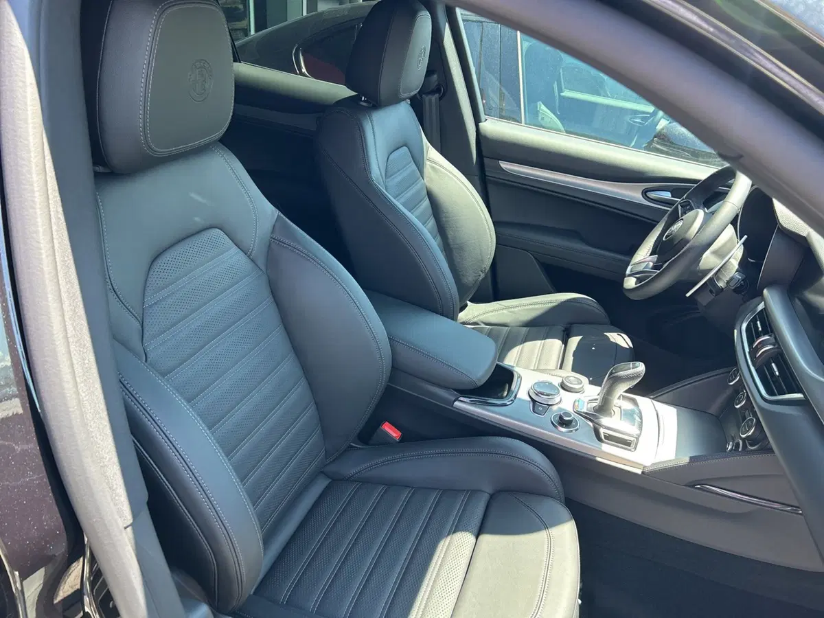 Alfa Romeo Stelvio nuova a Frosinone (10)