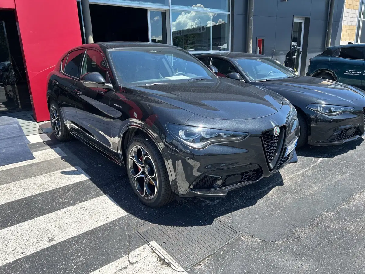 Alfa Romeo Stelvio nuova a Frosinone (2)