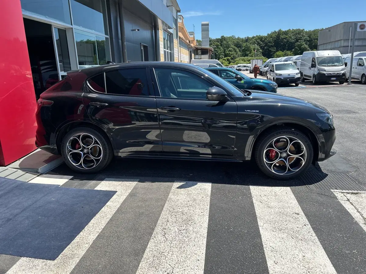 Alfa Romeo Stelvio nuova a Frosinone (3)