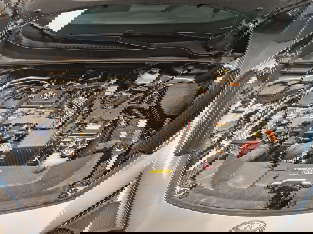 Toyota Toyota C-HR usata a Catanzaro (13)