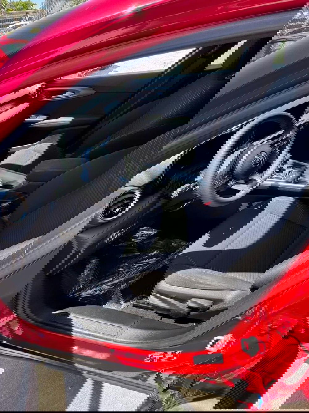 Alfa Romeo Tonale usata a Caserta (10)