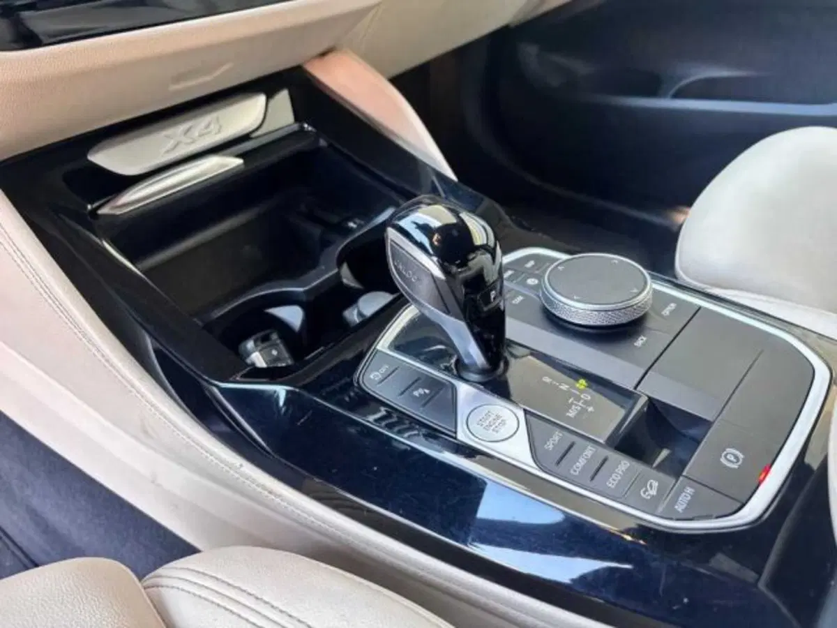 BMW X4 usata a Caltanissetta (10)