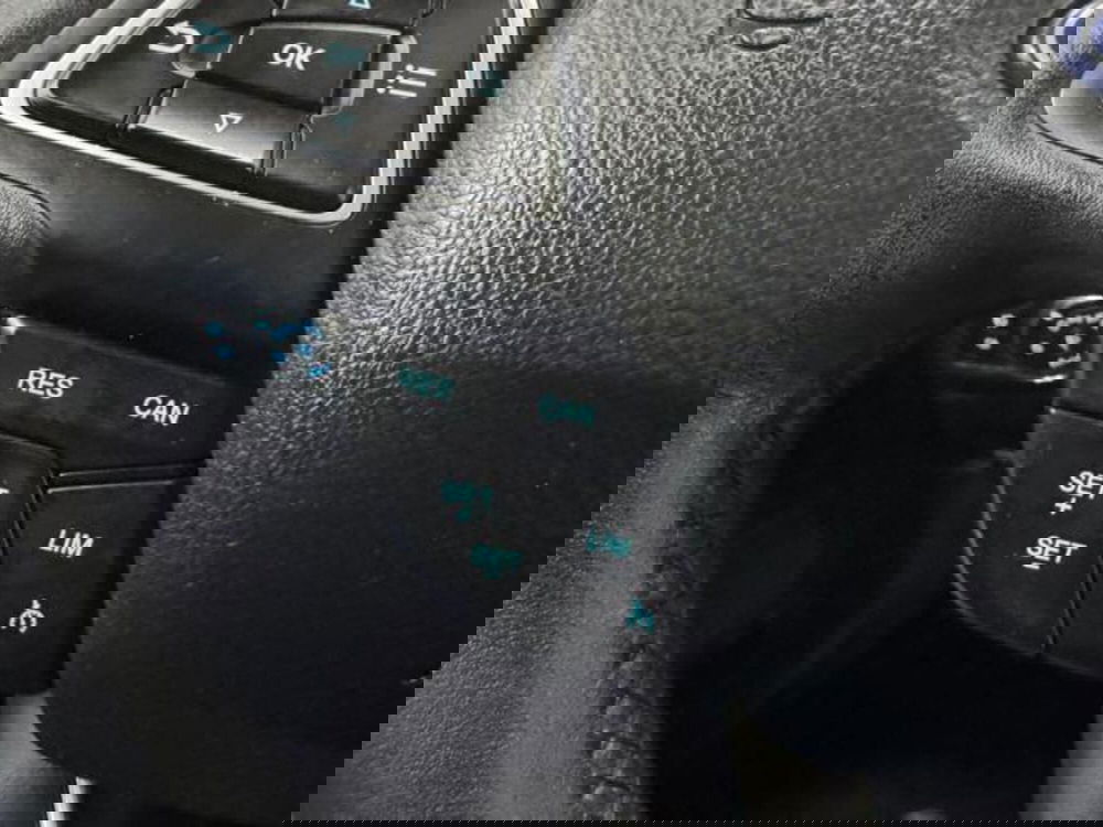 Ford EcoSport usata a Como (11)